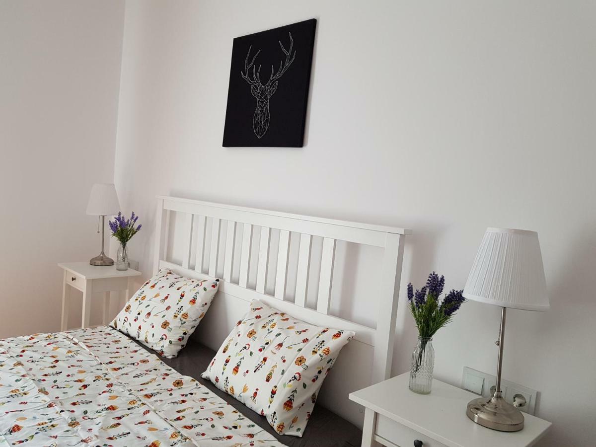 Oberiter Apartments - Center Of Zagreb, Fast Wifi, Ac, Kitchen, Parking Dış mekan fotoğraf